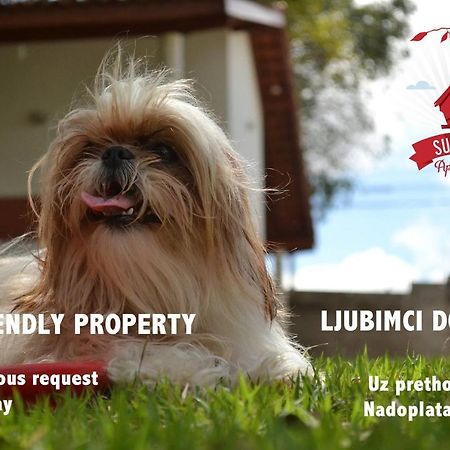 Apartments Suncani Zagrzeb Zewnętrze zdjęcie