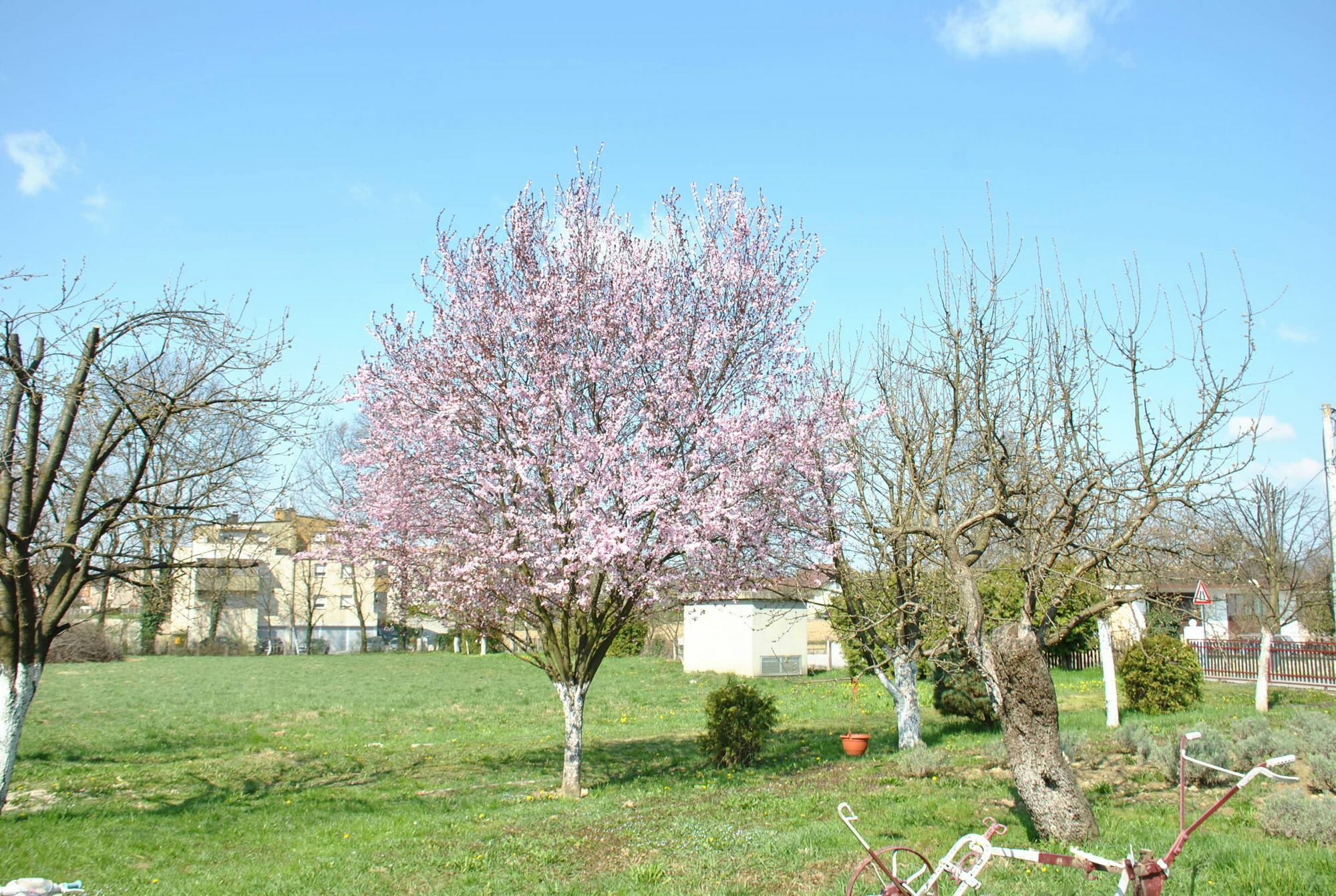 Apartments Suncani Zagrzeb Zewnętrze zdjęcie